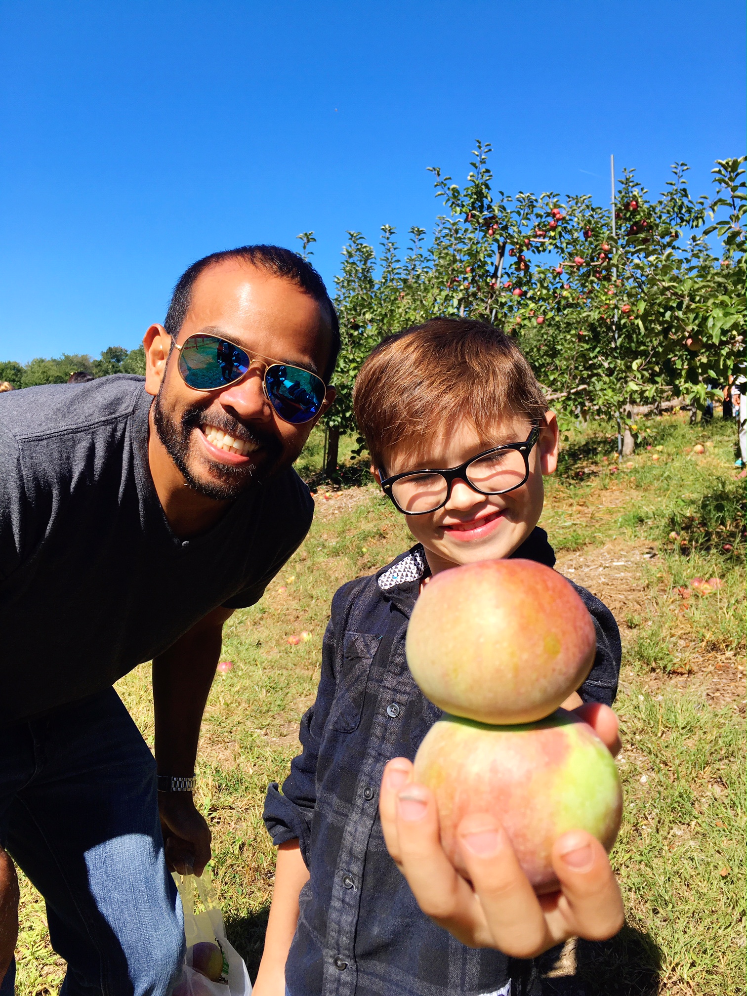 two-apples-stuck-together-apple-picking-in-new-england-autumn-fall