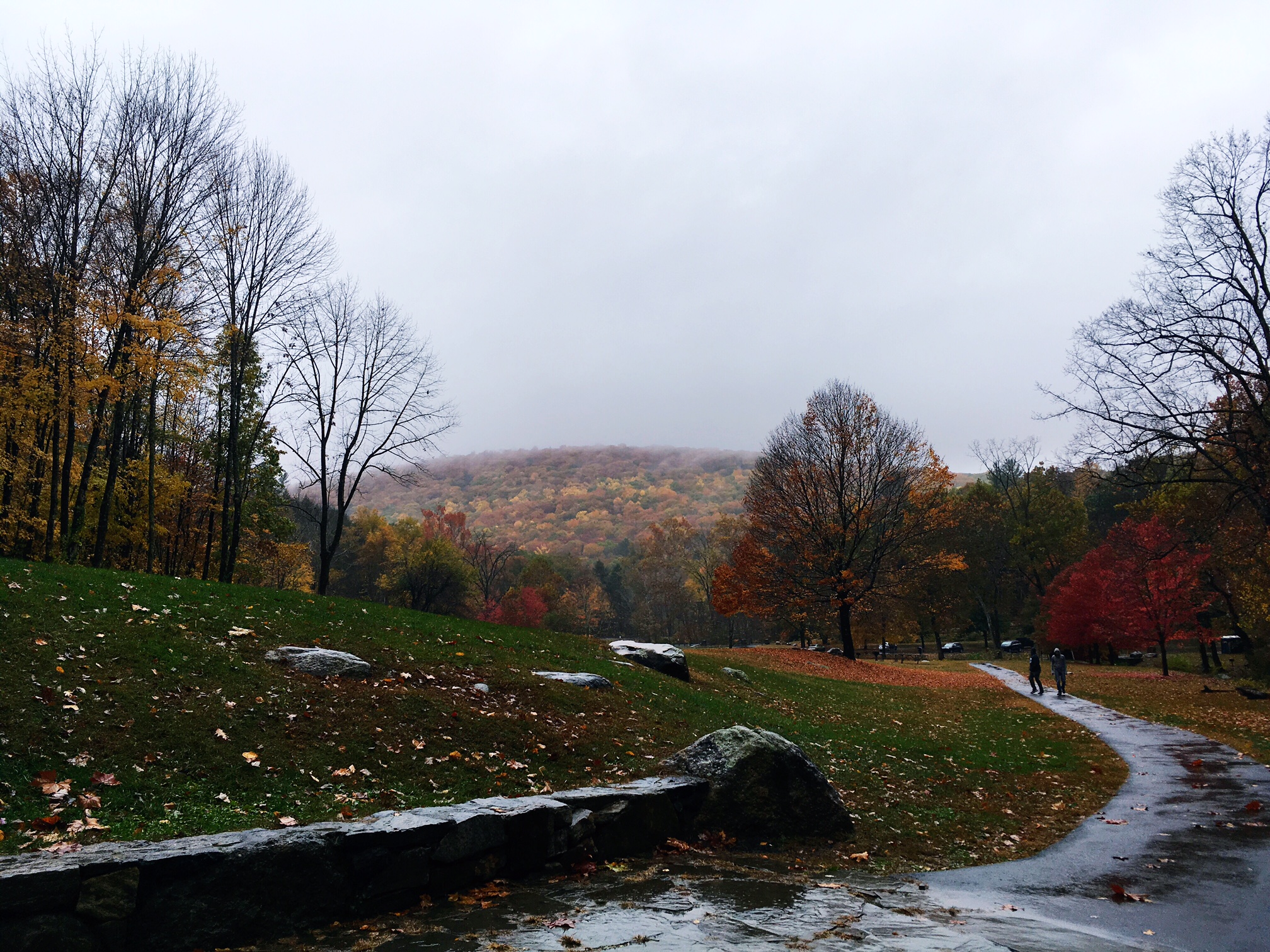 rainy-october-day-in-the-litchfield-hills