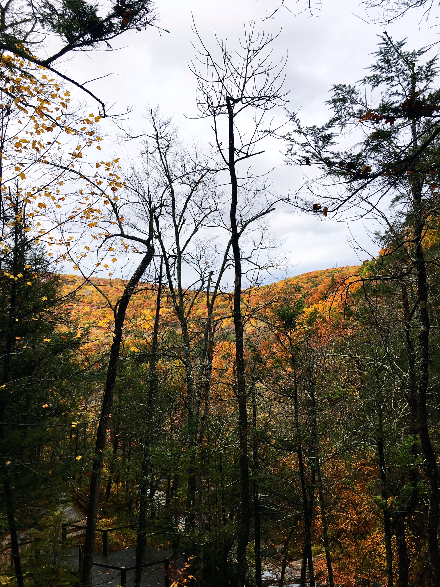 rainy-october-day-of-hiking-at-kent-falls-state-park-in-litchfield-county-connecticut