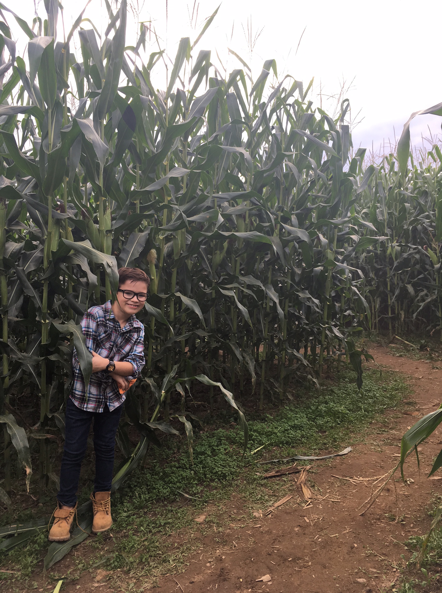 4-corn-maze-in-fairfield-county