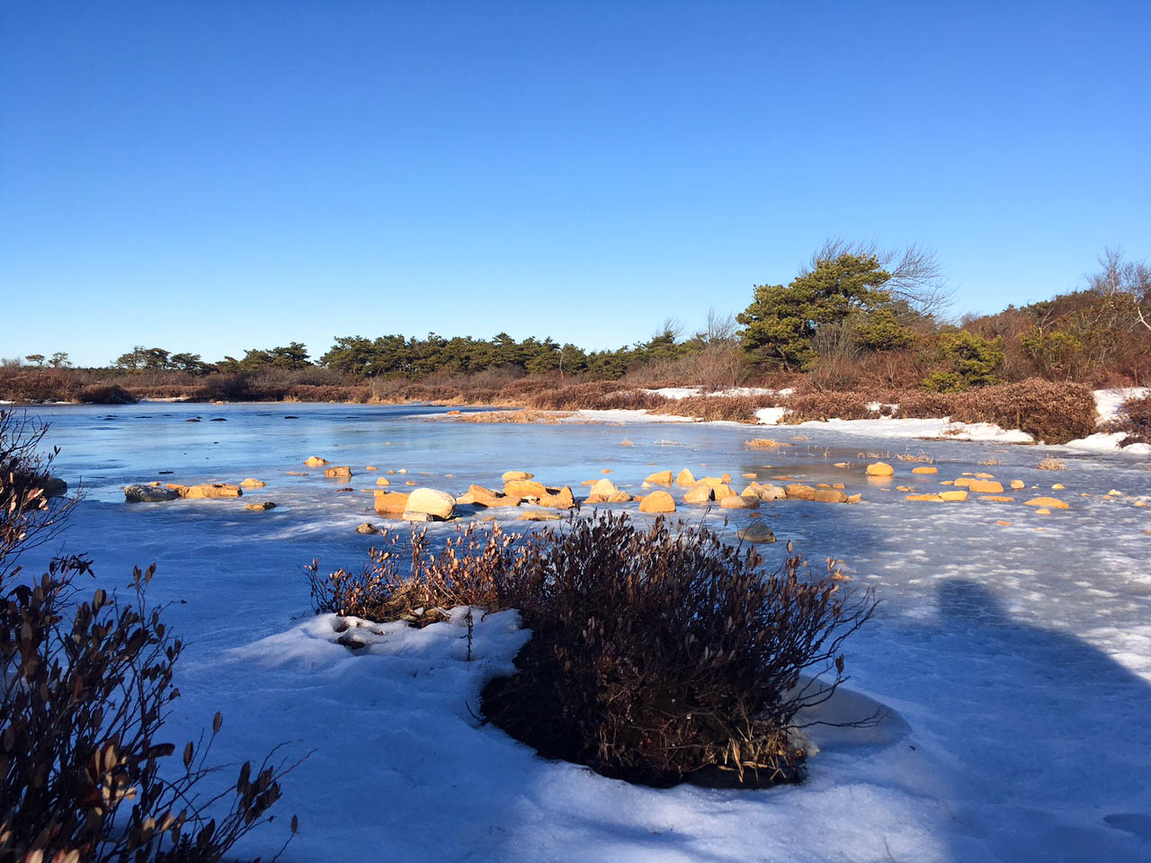 christmas-hiking-in-new-york-minnewaska-state-park-sams-point-12